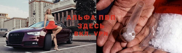 крисы Богданович