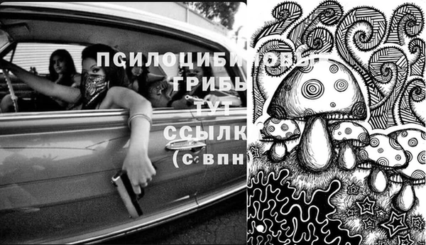 спайс Богородицк