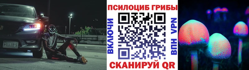 МЕГА онион  Ветлуга  Псилоцибиновые грибы мухоморы 